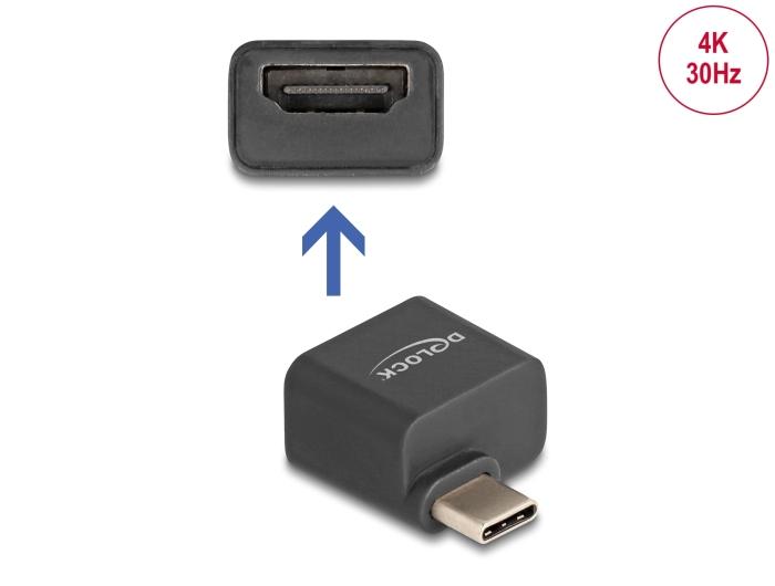 Delock Mini Adapter USB Type-C™ Stekker naar HDMI Aansluiting (DP Alt Mode) 4K