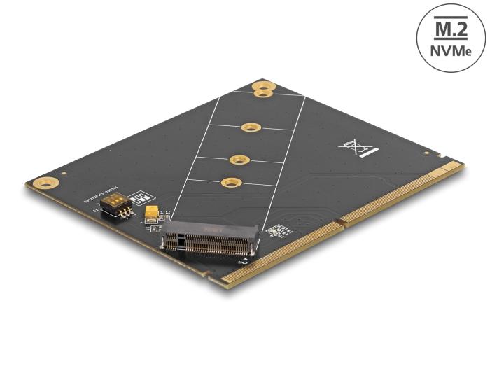 Delock Converter MXM naar M.2 NVMe Key M Slot