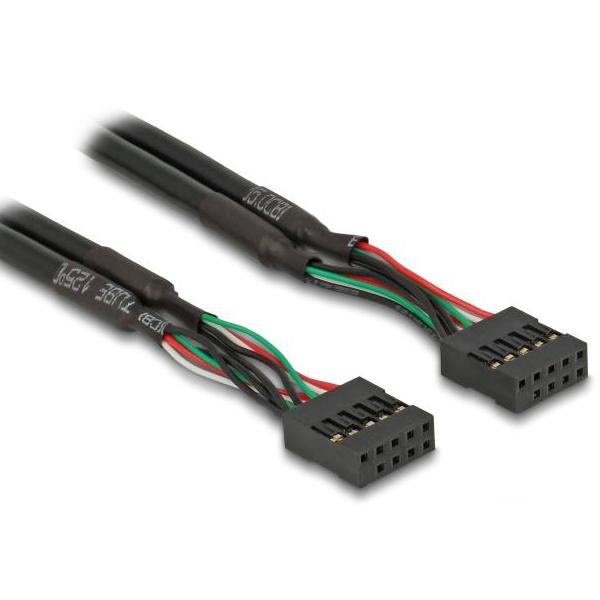 Delock Kabel USB 2.0 Stiftleiste 2,54 mm 10-pins naar USB 2.0 Stiftleiste