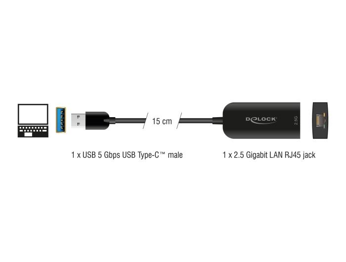 Delock USB type-A adapter naar 2,5 Gigabit LAN