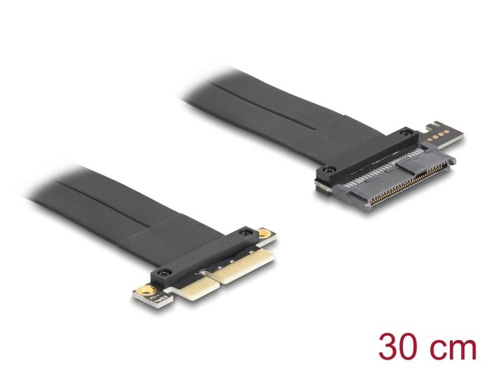 Delock Riserkaart PCI Express 3.0 x4 Stekker naar U.2 SFF-8639 SSD Slot met