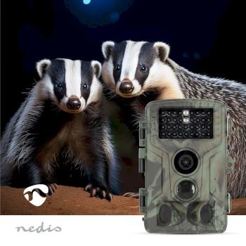 Wildcamera 4K@10fps 50 MPixel 5 MPixel CMOS IP65 Zwart No-Glow - Nedis