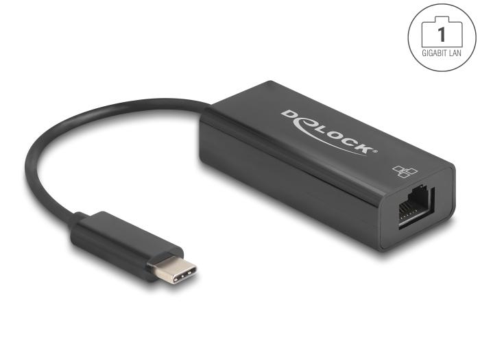 Delock USB 2.0 Type-C™ Adapter naar 10/100 Mbps LAN