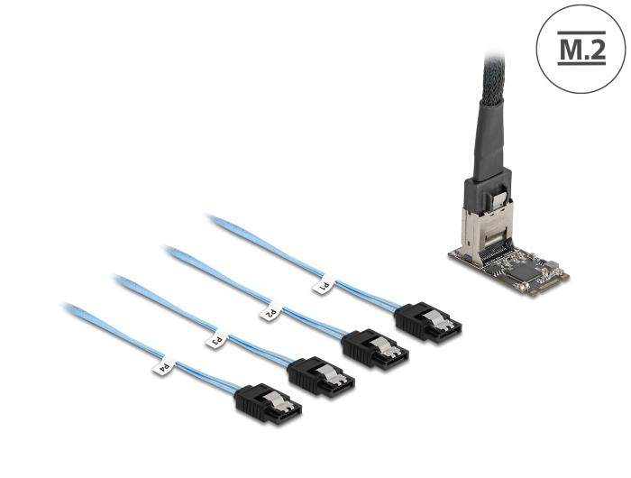 Delock M.2 2242 Key B+M Controller naar 4 x SATA met 1 m kabel