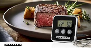 Vleesthermometer tot 250C Alarmtimer LCD-scherm - MELISSA
