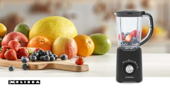 Staande blender 800 W 2 snelheden + puls 4 roestvrijstalen bladen - MELISSA