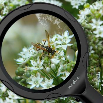Handloepen Lenssterkte: 4 Diopter 10000 K 0.05 W 9 lm Zwart - Nedis