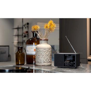 DIRA M 1 A Mobile EWF Batterijbediende Multifunctionele Mono Radio DAB+ / - Telestar