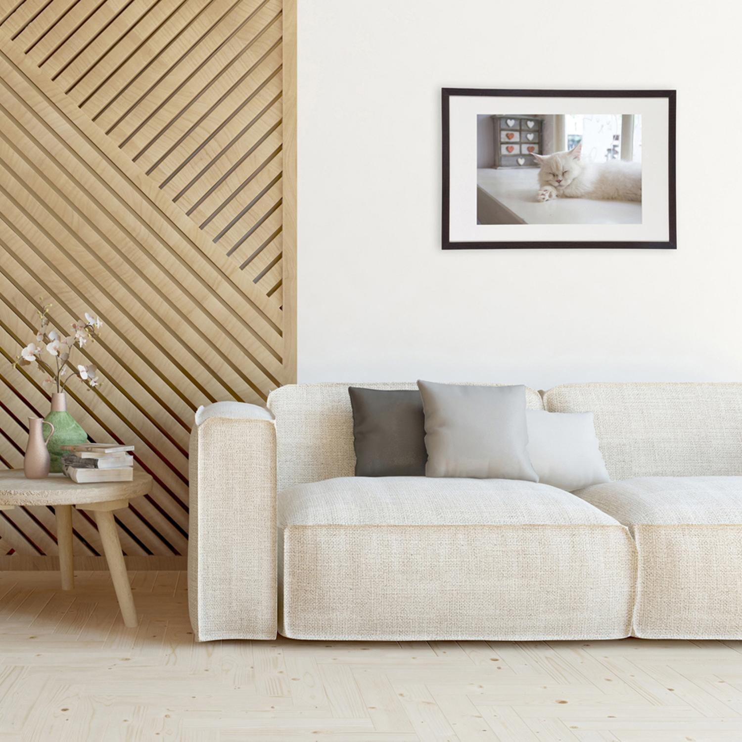 Productfoto 5