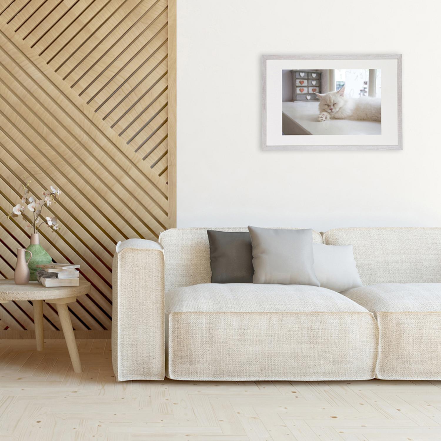 Productfoto 5
